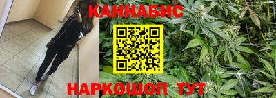 стафф Лесосибирск