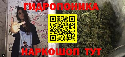 стафф Лесосибирск