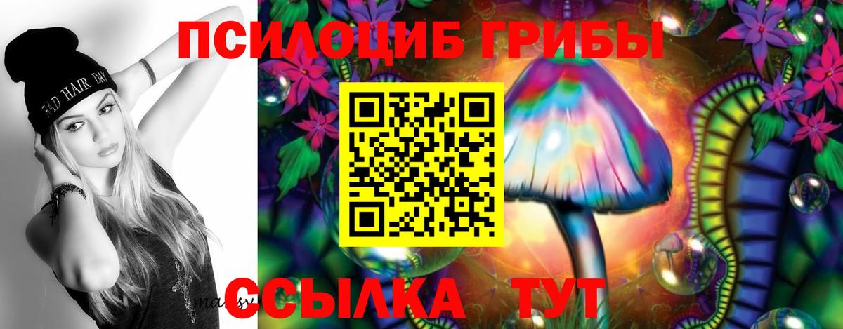 Джанкой  Псилоцибиновые грибы Cubensis  Вход с VPN  Галлюциногенные грибы мухоморы 